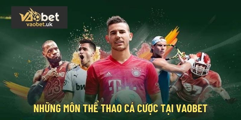 Những môn thể thao cá cược tại nhà cái